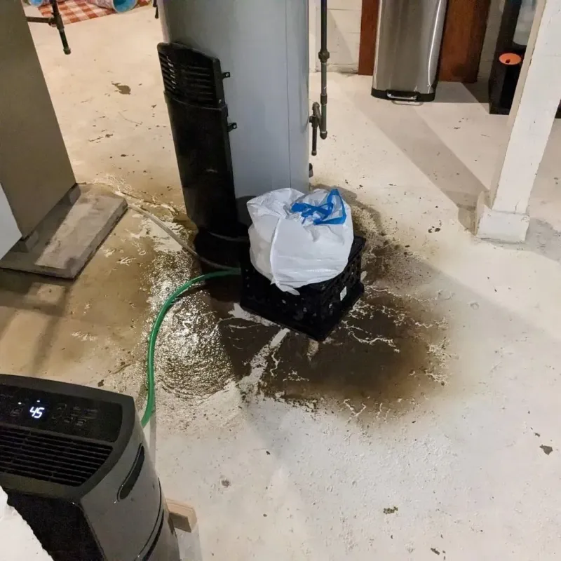 Sewage Backup Cleanup Service in Sabinal, TX
